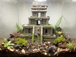 Mayan Pyramid Temple Ruins 2 | Maya Ruins