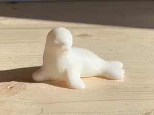 Mini Sea Lion