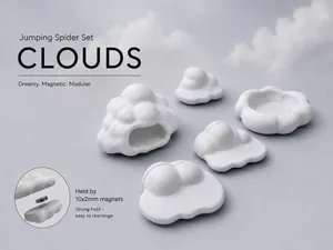CLOUDS – Jumping Spider Set
