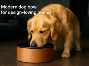 Modern designer dog bowl with anti-slip TPU base