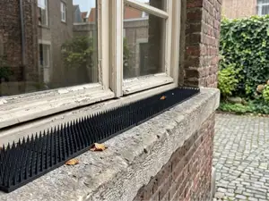 Bird spikes