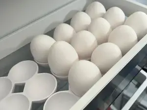 Fridge Egg Tray