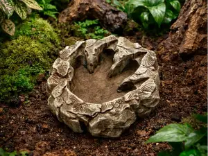 Drachenspur Schale