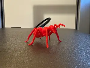 Ant