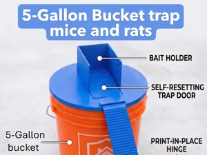 5-gallon bucket trap for mice and rats