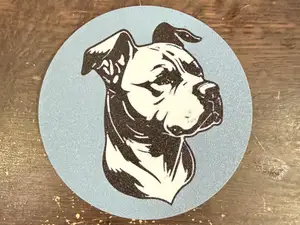 Pitbull Coaster