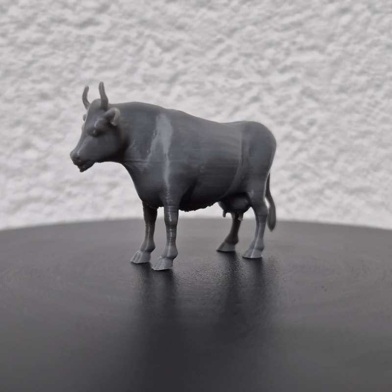 Miniature Cow 