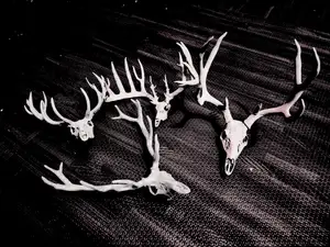Deer Skull Minis - Elk, Red, Mule, Holy Rack