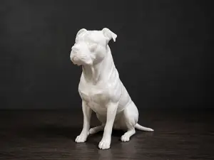 American Pitbull - Animal - Dog