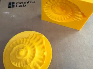 Ammonite Mold and Stamp