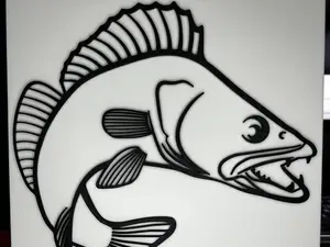 Zander fish image