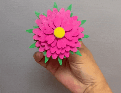 旋转富贵花