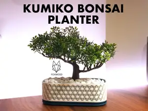 Kumiko Bonsai Planter - With Drip Tray - Foxwood
