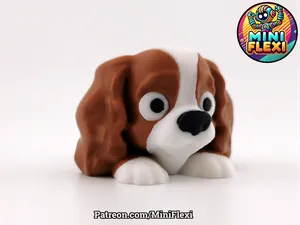 Mini Flexi Cavalier King Charles Spaniel