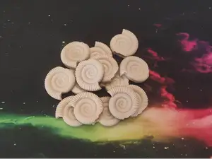 Fossile di ammonite