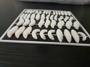 Maggots, Oh My