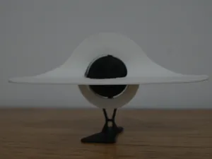 Black hole
