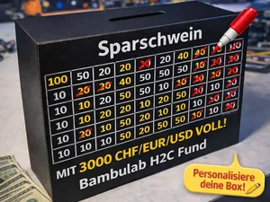 Sparschwein – die 3000.-   Challenge 