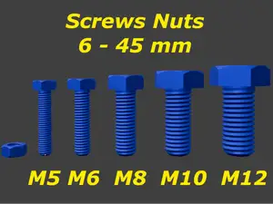 Screws Nuts M5 M6 M8 M10 M12