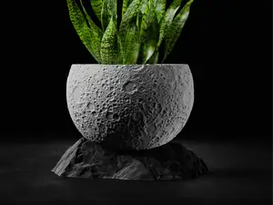 Moon Planter with Base