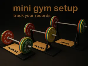 mini gym setup