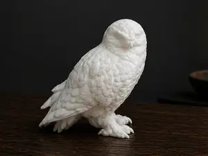 Snowy Owl - Animal - Bird - Cute - Amazing