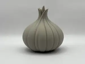 Onion