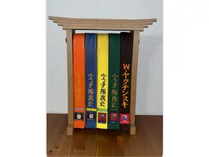karate judo taekwondo aikido jiu jitsu belt stand