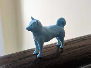 Shiba Inu Dog