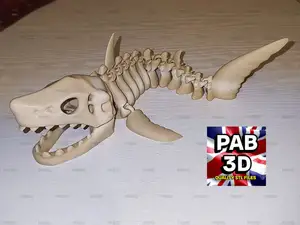 Print in place Articulated skeleton shark