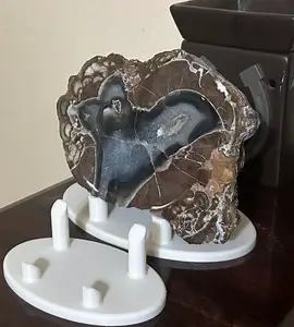 Rock or Mineral Specimen Display Stand - Oval
