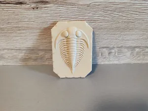Urzeitkrebs- Fossil 