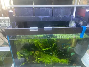 水族燈增高架