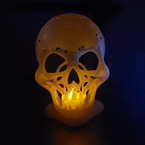 Sunlu Skull webbed human skull
