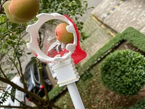 摘果工具，无支撑