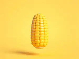 玉米-仿真蔬菜系列幼儿认知百科-儿童涂色过家家玩具