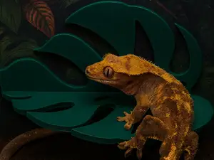 Leaf Monstera Ledge, Reptile Ledge