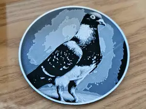 Coaster - Pigeon