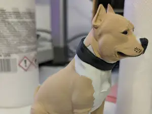 American Staffordshire Terrier