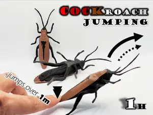 Jumping Cockroach