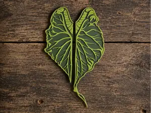Alocasia Venom Türgriff Vitrine