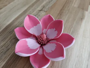 magnolia flower