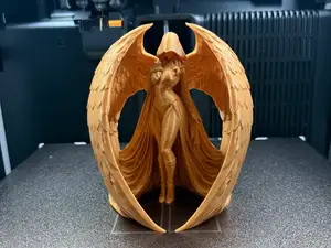 Angel of the Veil