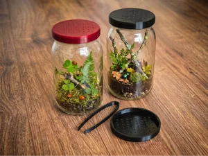 Junior Entomologist: Insect Observation Kit