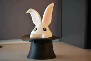 Bunny Hat