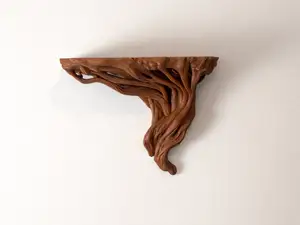 Rooted Tension Shelf