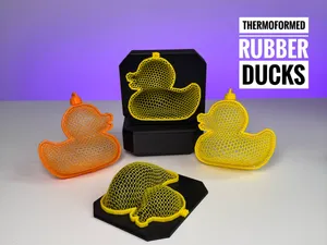 Thermoformed rubber duck