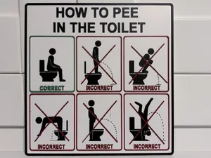 How To Pee In The Toilet - Sit Down Edition