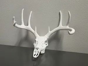 "Cole's Buck" Deer Skull