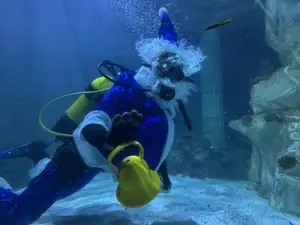 Underwater Cristmas bell
